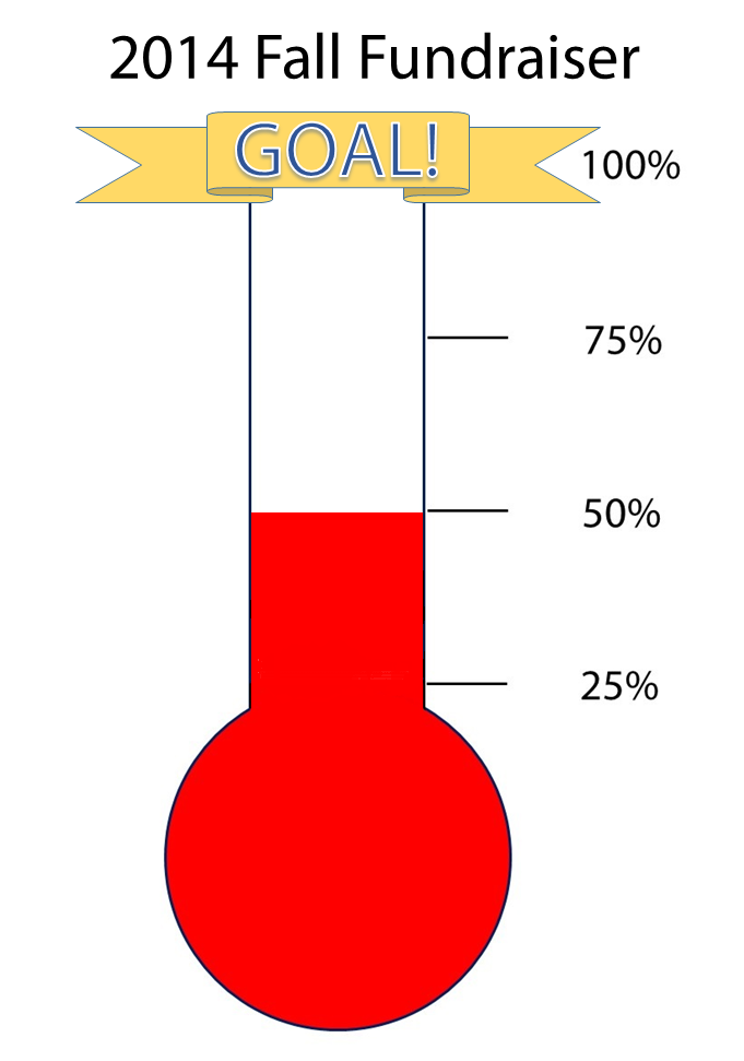 Fundraising Progress Chart